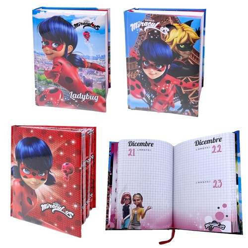 Miraculous ladybug diario - ladybug, 12